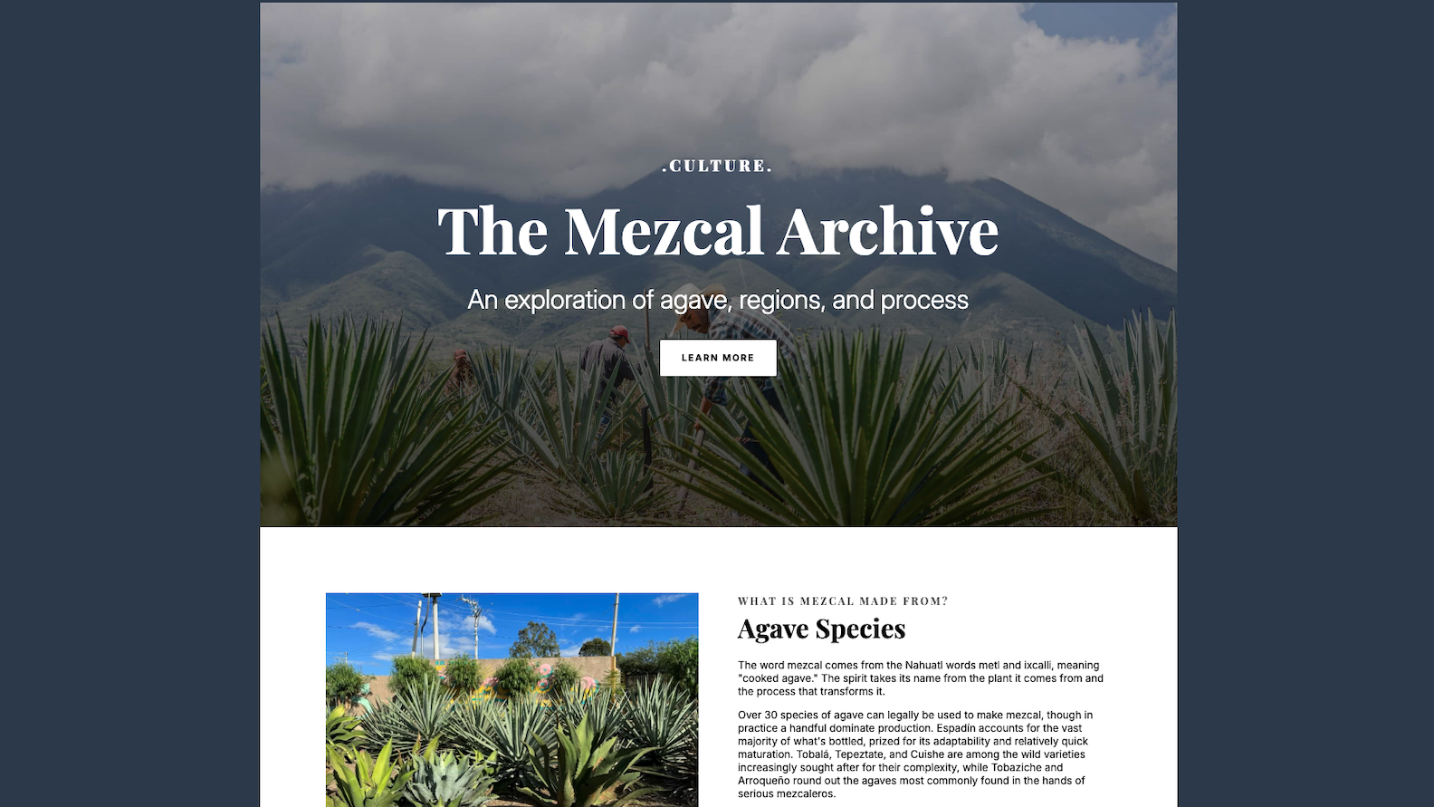 The Mezcal Archive